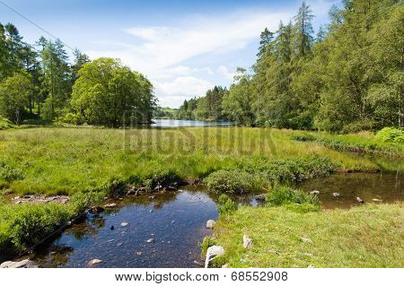 Tarn Hows Lake District National Park Cumbria England uk