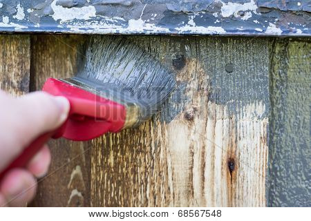 Painting House Facade, Exterior