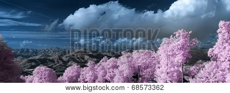 Blue Ridge Mountains Infrared