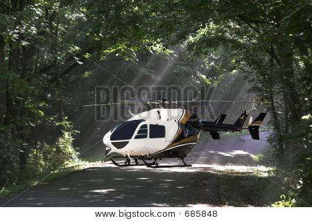 숲에서 Helecopter