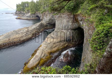 Coastal Cliffs at Cape Flattery
