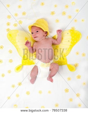 Little Butterfly