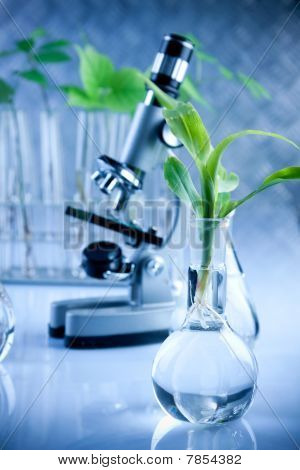 Scienza e piante