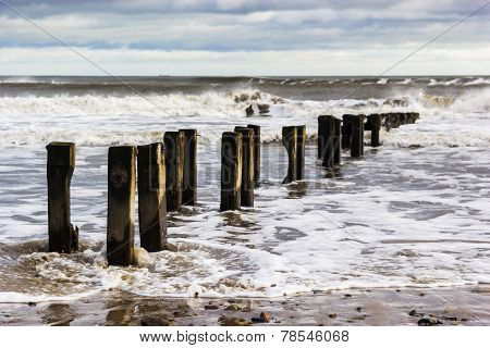 Waves