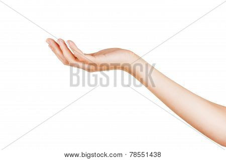 Woman's Hand