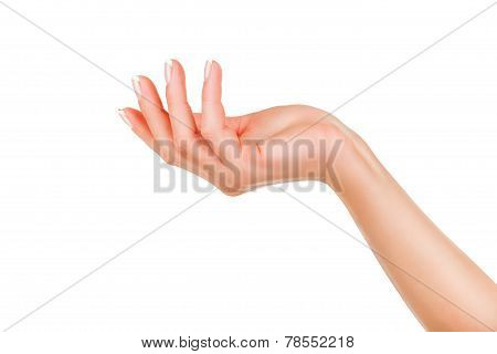 Woman's Hand