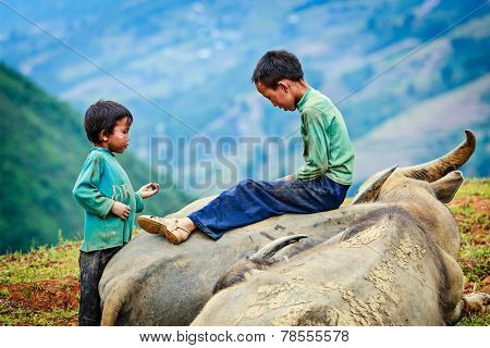 SAPA, VIETNAM - JUNE 10, 2011: Unidentified vietnamese children in mountains near Ta Van village. Though Vietnam's economic growth rate is among the highest in the world, poverty rate is still high