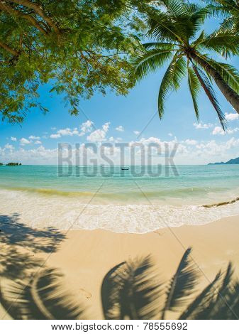 Tropical beach of Chaweng on Koh Samui island in Thailand