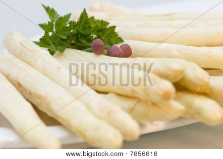 Asperges witte Close-up