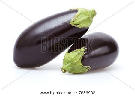 Aubergine på hvid