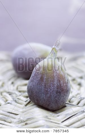 Figner