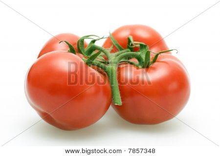 Cuatro tomates perfeccionadas