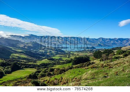 New Zealand 25