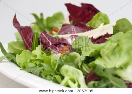 Radiccio salade