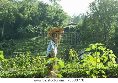 Scarecrow, Straw Man At The Farm