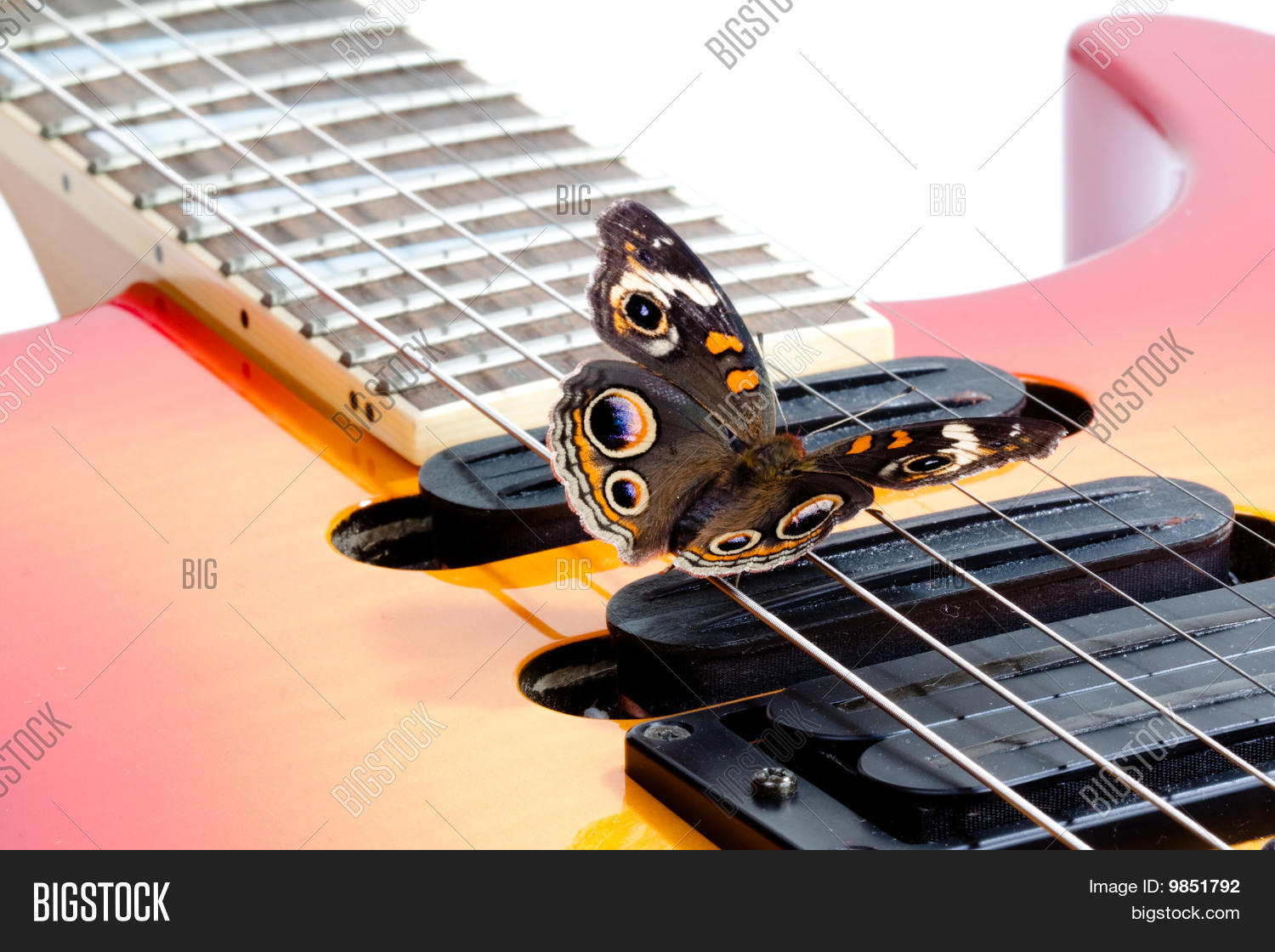 Мотылек на гитаре разбор. Виртуоз на гитаре. Корж на гитаре для новичков. Макс корж мотылек на гитаре. Мотылек макс корж табы для гитары.