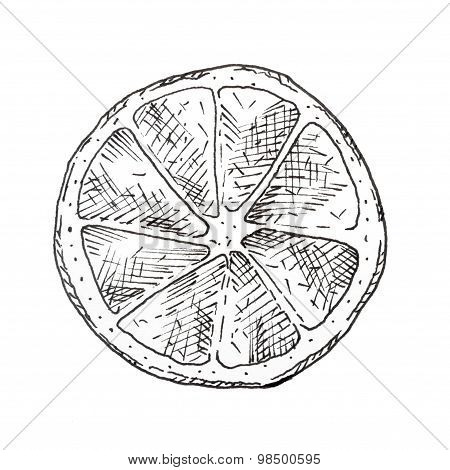 Hand drawn lemon slice ink sketch