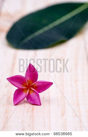 Single pink plumeria on wooden background.