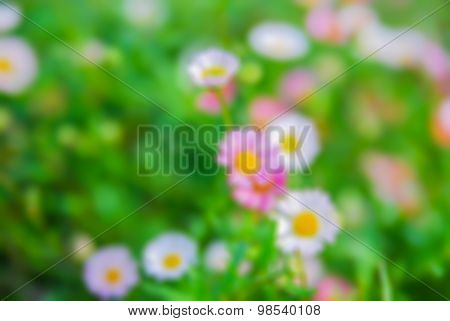 Blurred Small Flowers On Green Bokeh Background