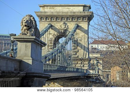 View On Szechenyi Chain Bridge And Buda