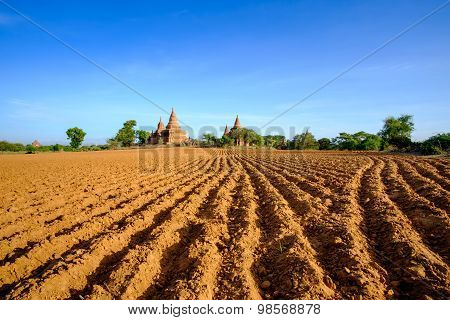 Landscape View Of Ancient Temples And Field, Bagan, Myanmar