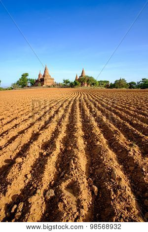 Landscape View Of Field And Temples In Bagan Area, Myanmar