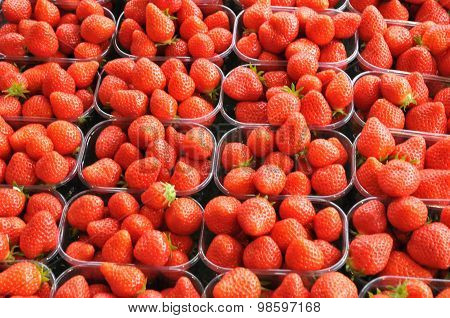 Picturesque Market Of La Baule In Loire Atlantique