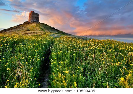 lente bloem veld met trail naar kasteel toren heldere levendige kleuren helder gele Wei kleurrijke sp