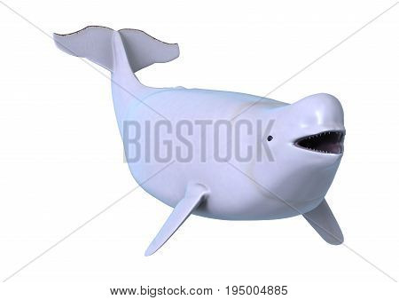 3D Rendering Beluga White Whale On White