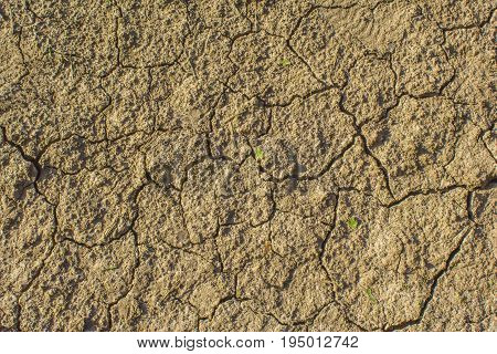 drought cracked earth in gray. earth without rain. background