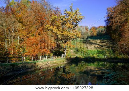The Central Lake of the Ermitage Arlesheim with autumn colors