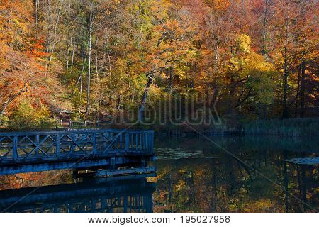 Wooden bridge on the Central Lake of the Ermitage Arlesheim in autumn