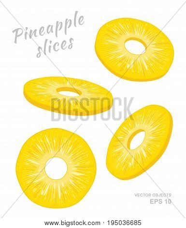 Vector illustration of falling pineapple slices isolated on white background. A cut rings of fresh exotic fruit. Set of four Different angles of view. Natural eco product