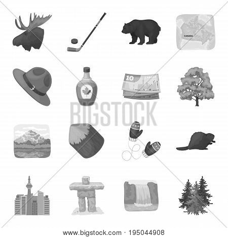 Wild animal, deer, horns and other Canada elements. Canada set collection icons in monochrome style vector symbol stock illustration.