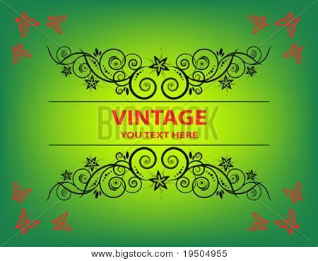 复古的帧。优雅。绿色的蝴蝶。