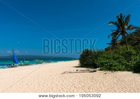 BORACAY WESTERN VISAYAS PHILIPPINES - JANUARY 14 2015: Tropical beach with coconut trees white sand and boats at Puka Beach.