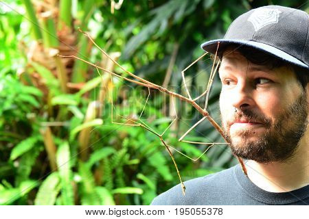 Victoria BC,Canada,July 8th 2017.A man with a hat and beard looks at the giant stick bugs that are clinging to his face in the gardens.
