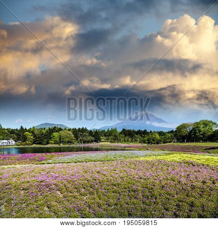 Spring Season In Japan With Fuji Mountain As Background