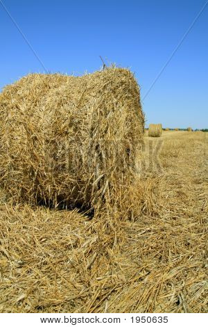 Haycock