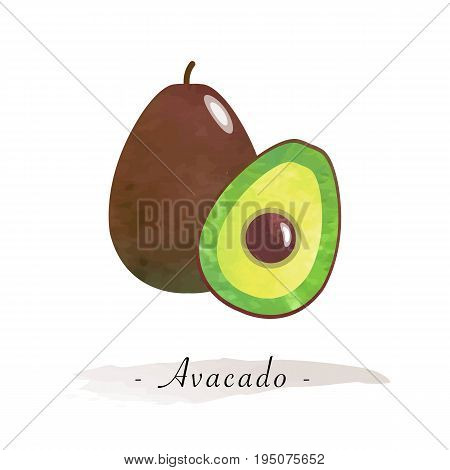 Colorful Watercolor Texture Vector Healthy Fruit Avacado