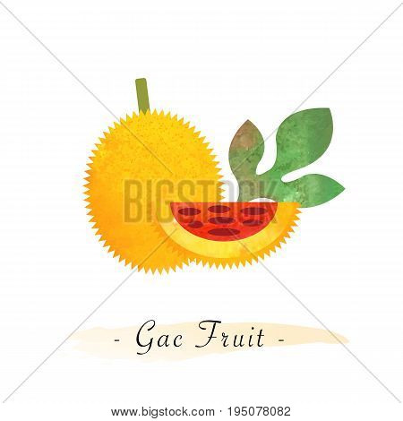 Colorful Watercolor Texture Vector Healthy Yellow Gac Fruit