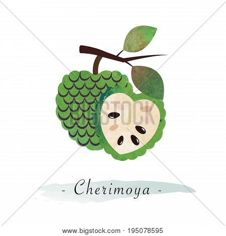 Colorful Watercolor Texture Vector Healthy Fruit Cherimoya