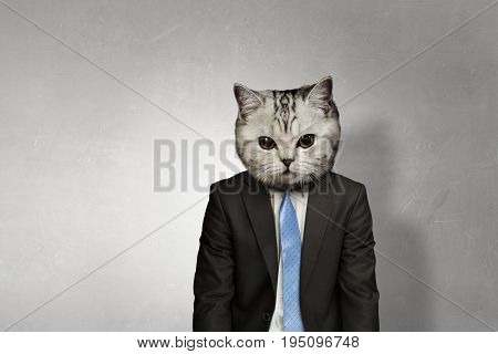 Cat in business suit. Mixed media