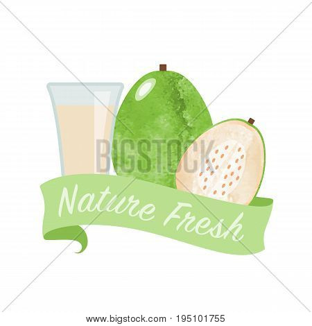 Colorful Watercolor Texture Vector Nature Organic Fresh Fruit Juice Banner White Guav
