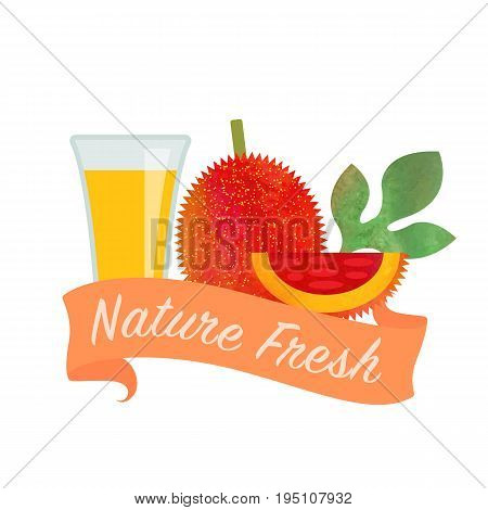 Colorful Watercolor Texture Vector Nature Organic Fresh Fruit Juice Banner Ripe Gac Fruit