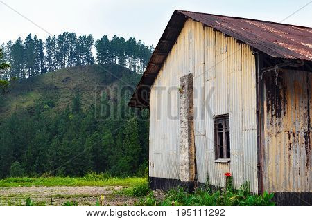 Empty house in the forest. Dark Tones