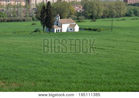 Agriculture I stand out of culture of cereals in Catalonia Spain