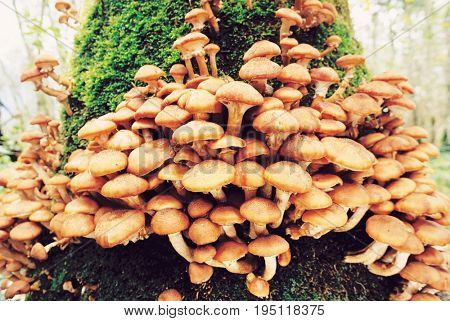 Nature Photography