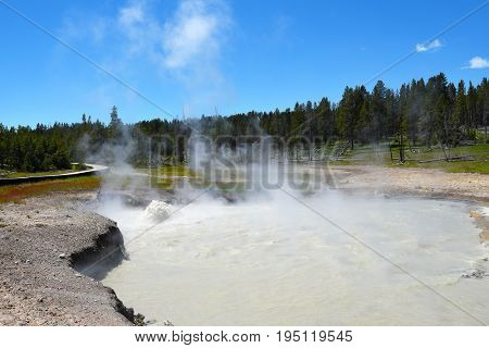 Churning Cauldron in the Mud Volcano area of Yellowstone National Park. It tosses muddy water three to five feet high.