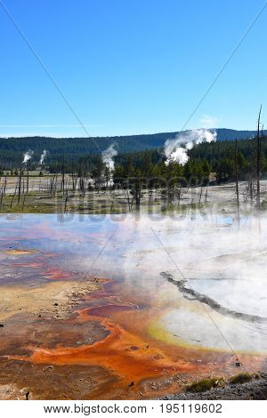 Firehole Spring in the Lower Geyser Basin of Yellowstone National Park.